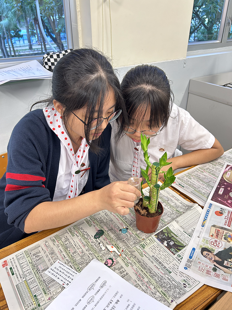 W:Chinese Language中國語文科�7-科務網頁中文科網頁2023_24IMG_8075.JPG